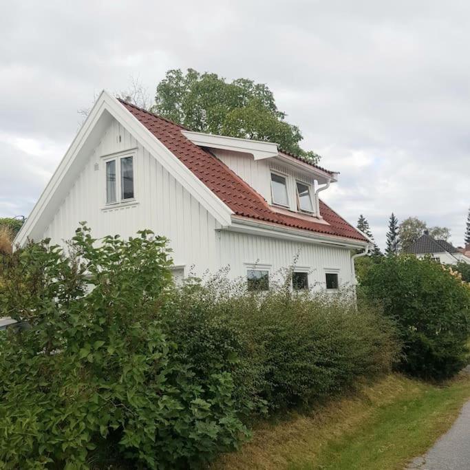 Lys Og Lettstelt Leilighet Med Utsikt Over Byen Daire Sandefjord Dış mekan fotoğraf